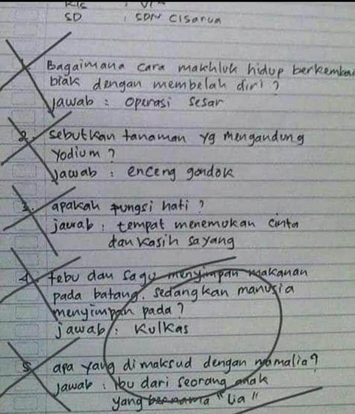 19 jawaban ujian anak sekolah ini absurdnya bikin tepuk jidat © berbagai sumber 19 jawaban ujian anak sekolah ini absurdnya bikin tepuk jidat © berbagai sumber