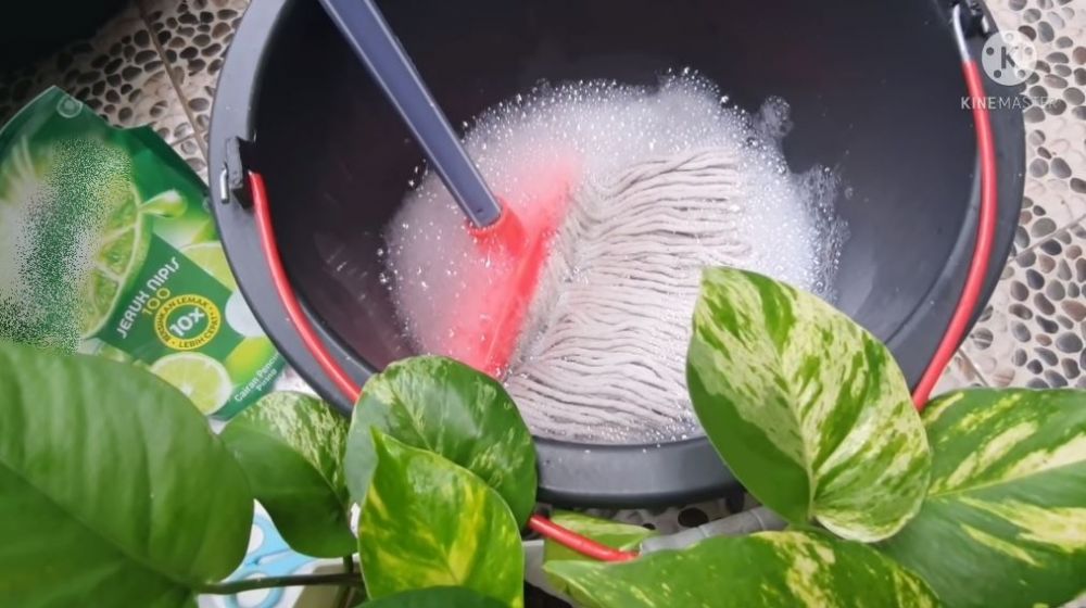 Aksi wanita tunjukkan fungsi lain sabun cuci piring ini bikin melongo sekaligus kagum