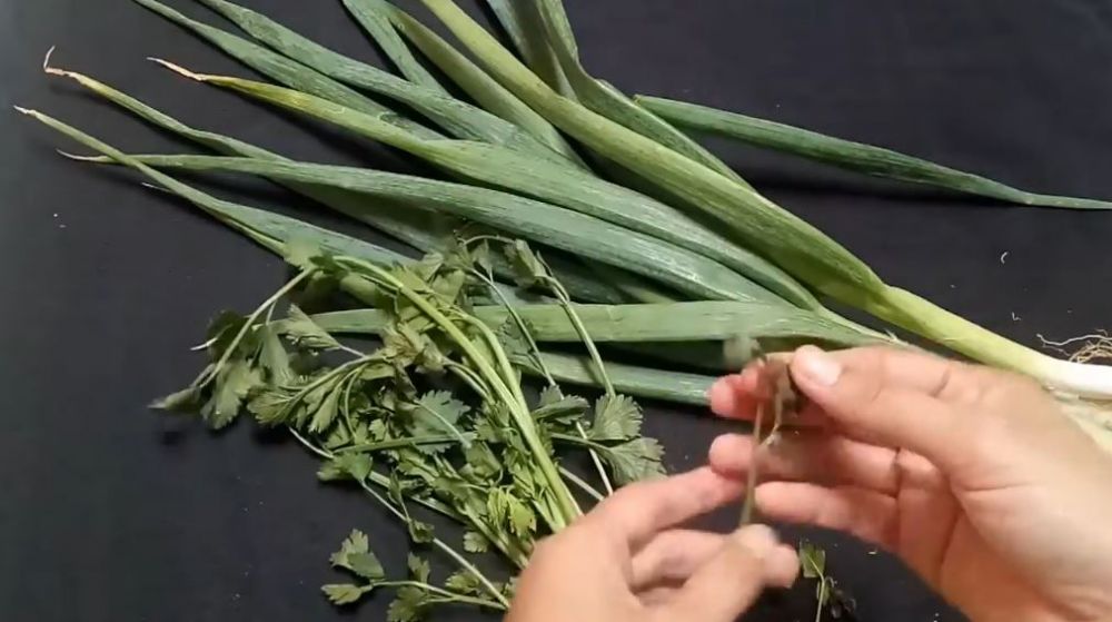 Cara menyimpan daun bawang dan seledri agar awet berhari-hari tanpa kulkas