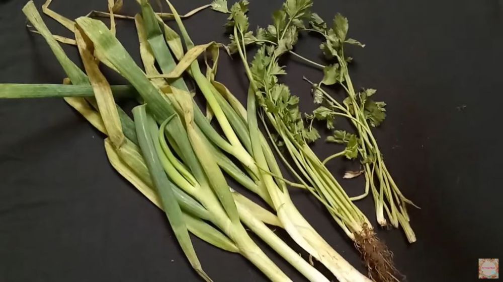 Cara menyimpan daun bawang dan seledri agar awet berhari-hari tanpa kulkas