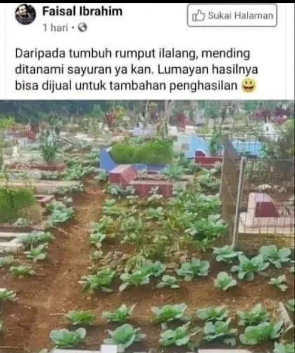 11 status lucu orang pengen eksperimen ini bikin garuk-garuk kepala © berbagai sumber