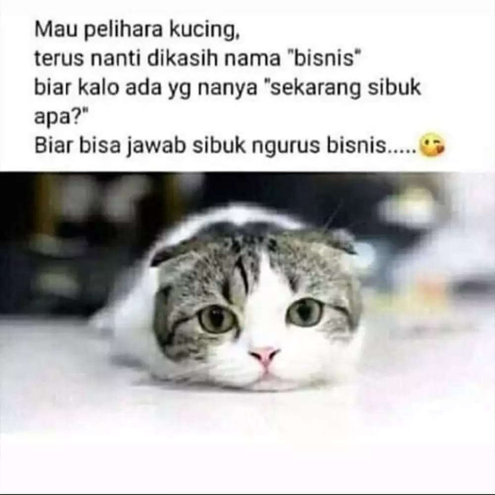 11 status lucu orang pengen eksperimen ini bikin garuk-garuk kepala © berbagai sumber