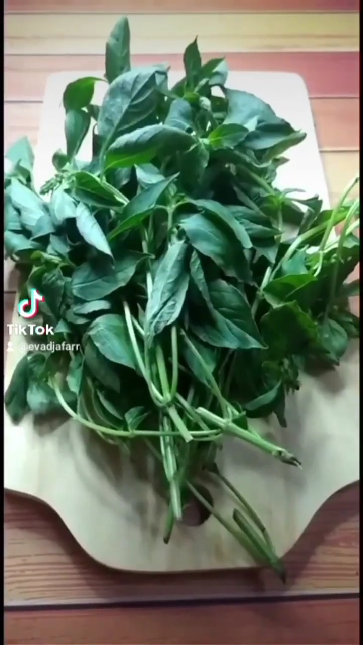 Tanpa perlu direndam air, ini cara menyimpan daun kemangi agar awet hingga seminggu meski tanpa kulkas
