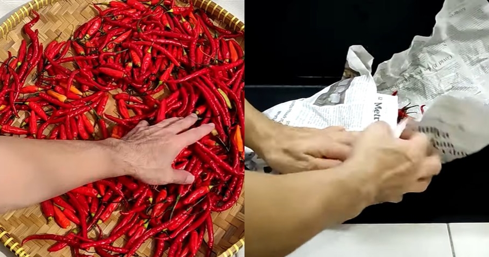 Cara membuat dan menyimpan cabai kering agar tetap merah dan awet hingga 6 bulan