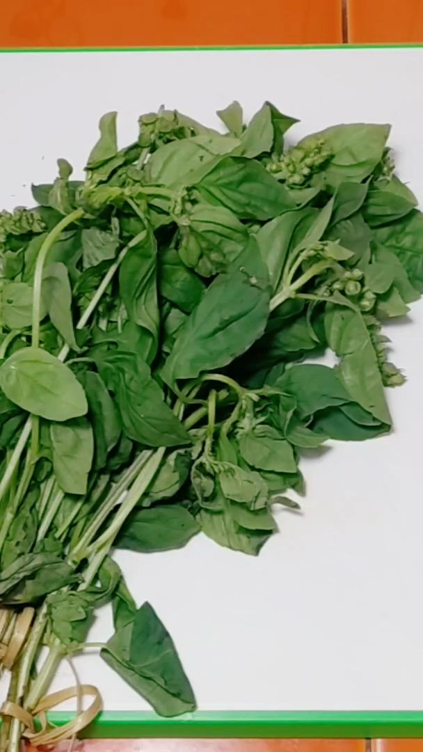 Tanpa bahan tambahan, ini trik simpan kemangi agar tetap segar dan tidak menguning selama berhari-hari