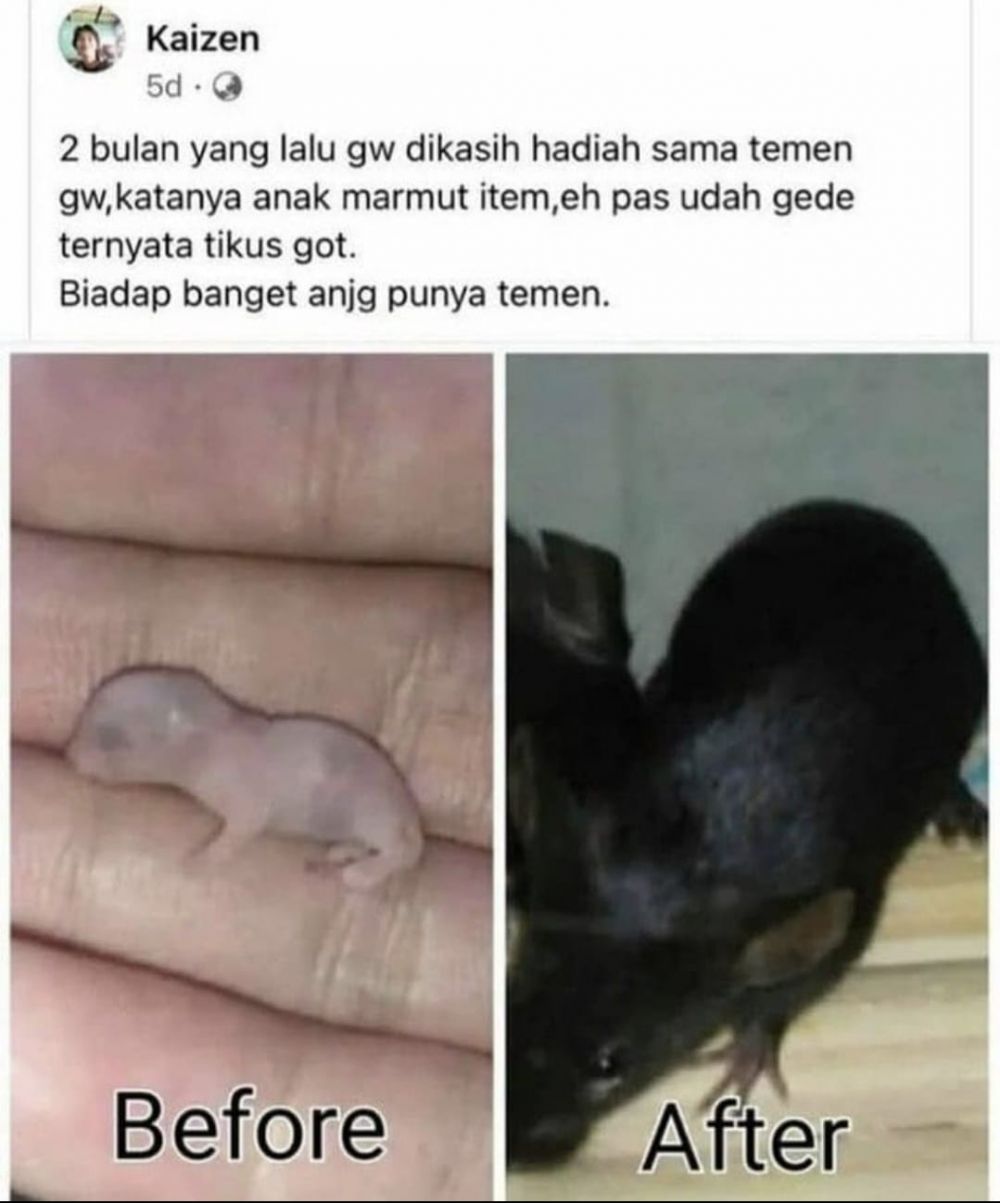 Ngawur banget, 11 momen lucu nge-prank teman ini ternyata banyak plot twist-nya © berbagai sumber