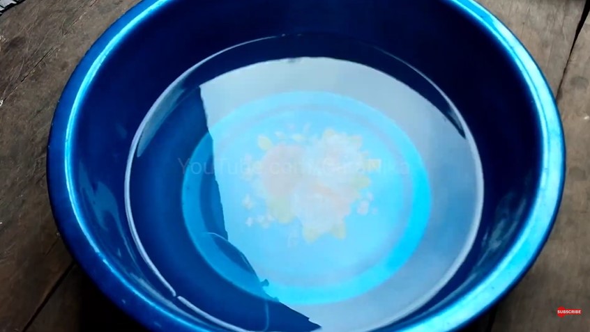 Tanpa kulkas, ini trik sederhana memadatkan puding dan agar-agar pakai satu bahan