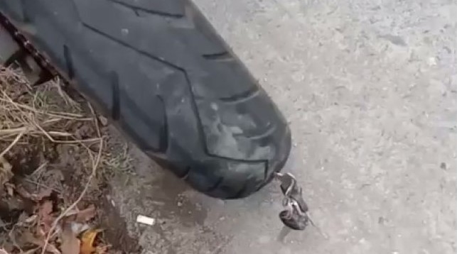 Potret ada benda nyangkut di ban motor © berbagai sumber