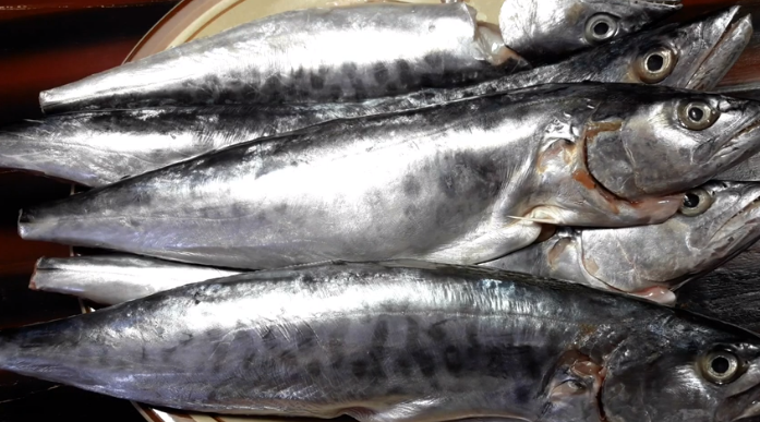 Cara mudah memfillet ikan, dijamin daging ikan tidak terbuang sia-sia
