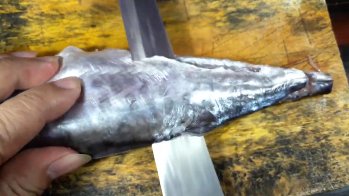 Cara mudah memfillet ikan, dijamin daging ikan tidak terbuang sia-sia
