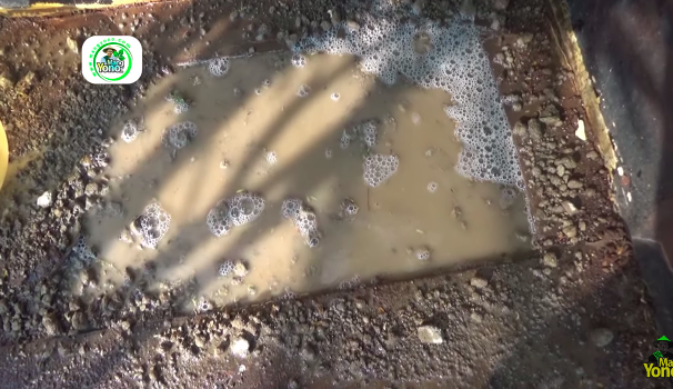 Tanpa dimasukkan kulkas, ini cara menyimpan jengkol mentah supaya awet hingga 4 bulan