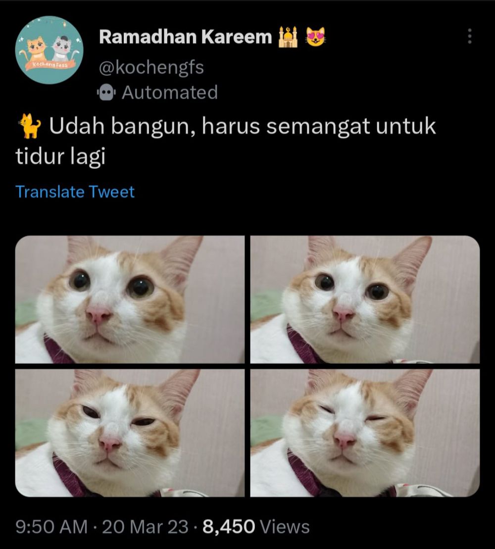 11 momen bangun dari tidur ini ngawurnya kebangetan © berbagai sumber 11 momen bangun dari tidur ini ngawurnya kebangetan © berbagai sumber