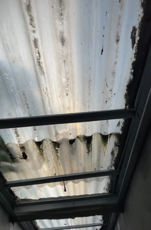 makeover lorong sempit jadi laundry room estetik © berbagai sumber