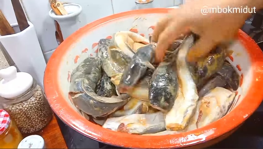 Cara jitu menyimpan ikan lele di kulkas, awet dan tetap segar hingga 2 bulan