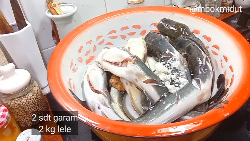 Cara jitu menyimpan ikan lele di kulkas, awet dan tetap segar hingga 2 bulan