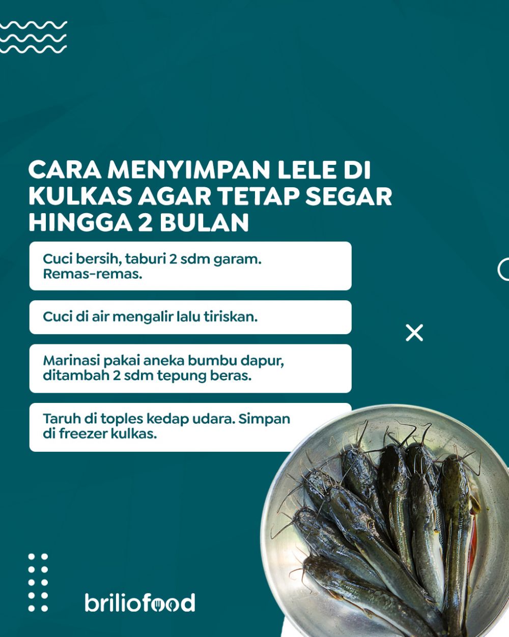 Cara jitu menyimpan ikan lele di kulkas, awet dan tetap segar hingga 2 bulan