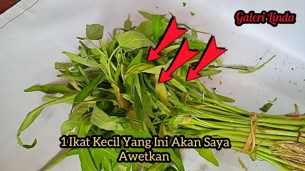 Tanpa kulkas, begini trik menyimpan kangkung agar tetap segar dan tak layu sampai 1 bulan