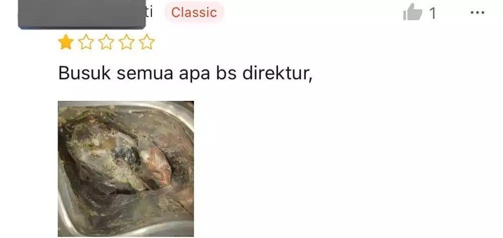 tulisan kocak review di toko online Berbagai sumber