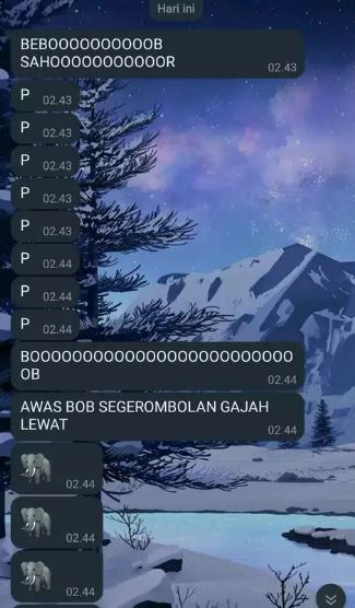 Chat lucu bangunin sahur Berbagai sumber