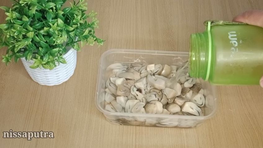 Cara menyimpan jamur merang agar awet hingga seminggu dan masih enak dikonsumsi