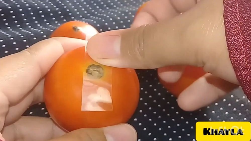 Cara menyimpan tomat tanpa kulkas supaya tetap segar sampai 4 hari