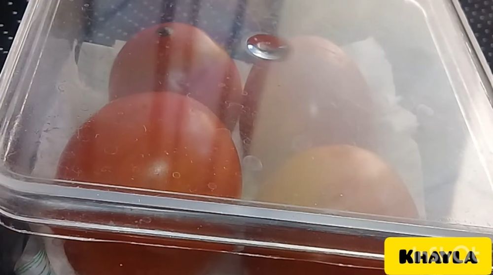 Cara menyimpan tomat tanpa kulkas supaya tetap segar sampai 4 hari