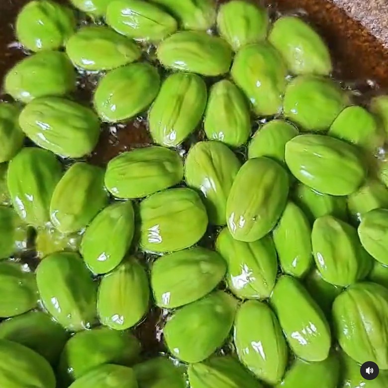 10 Masakan rumahan Mayangsari, sederhana, simpel, dan menggugah selera