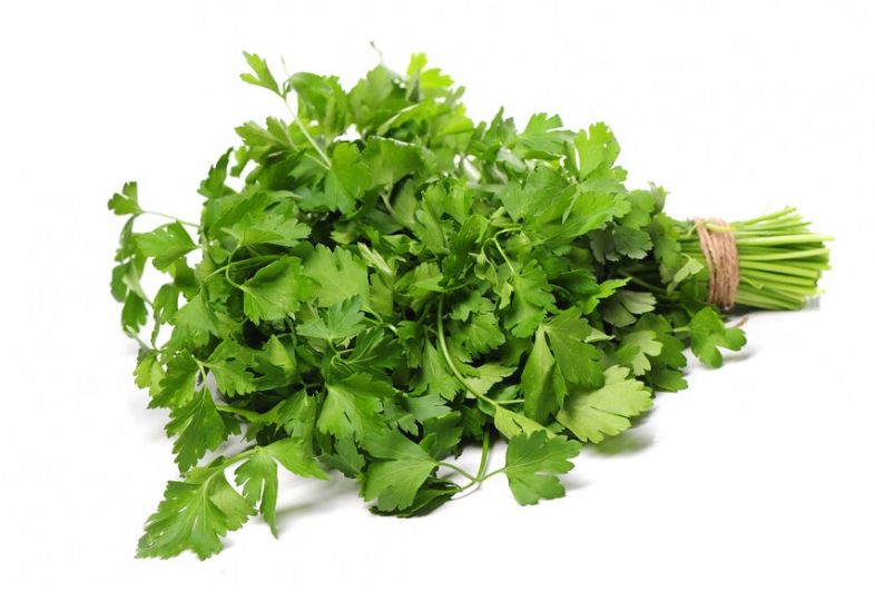 Merawat rambut kasar dan kering jadi lembut berkilau pakai 7 bahan alami © freepik.com