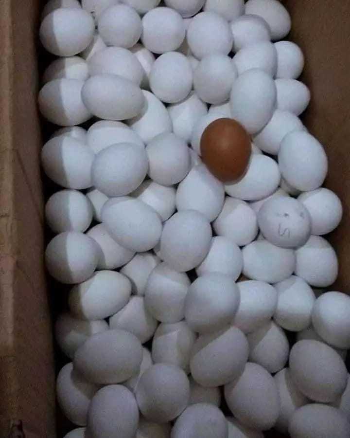 17 Momen lucu beda sendiri ini bikin auto jadi pusat perhatian © Instagram