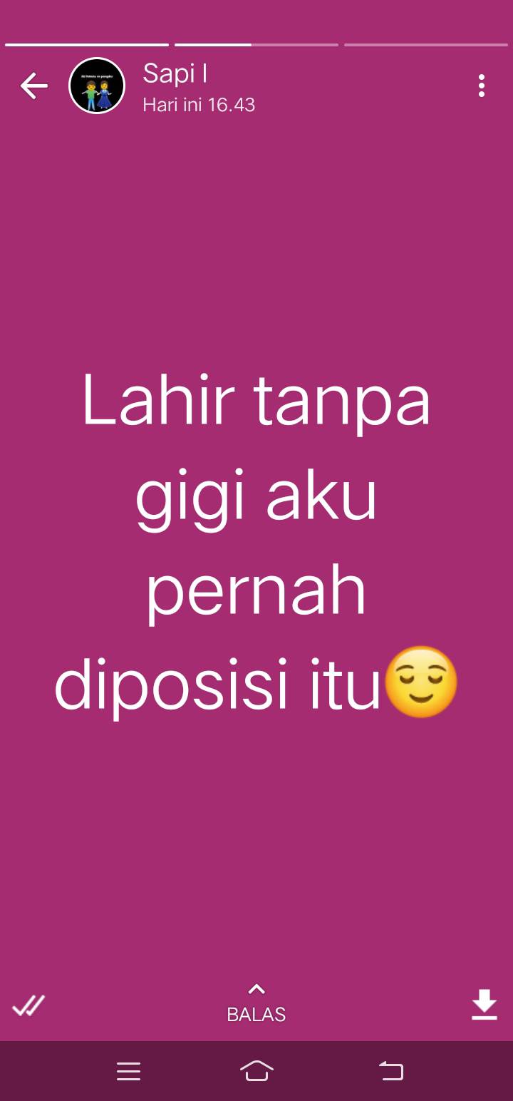 status lucu sok bijak di wa © berbagai sumber