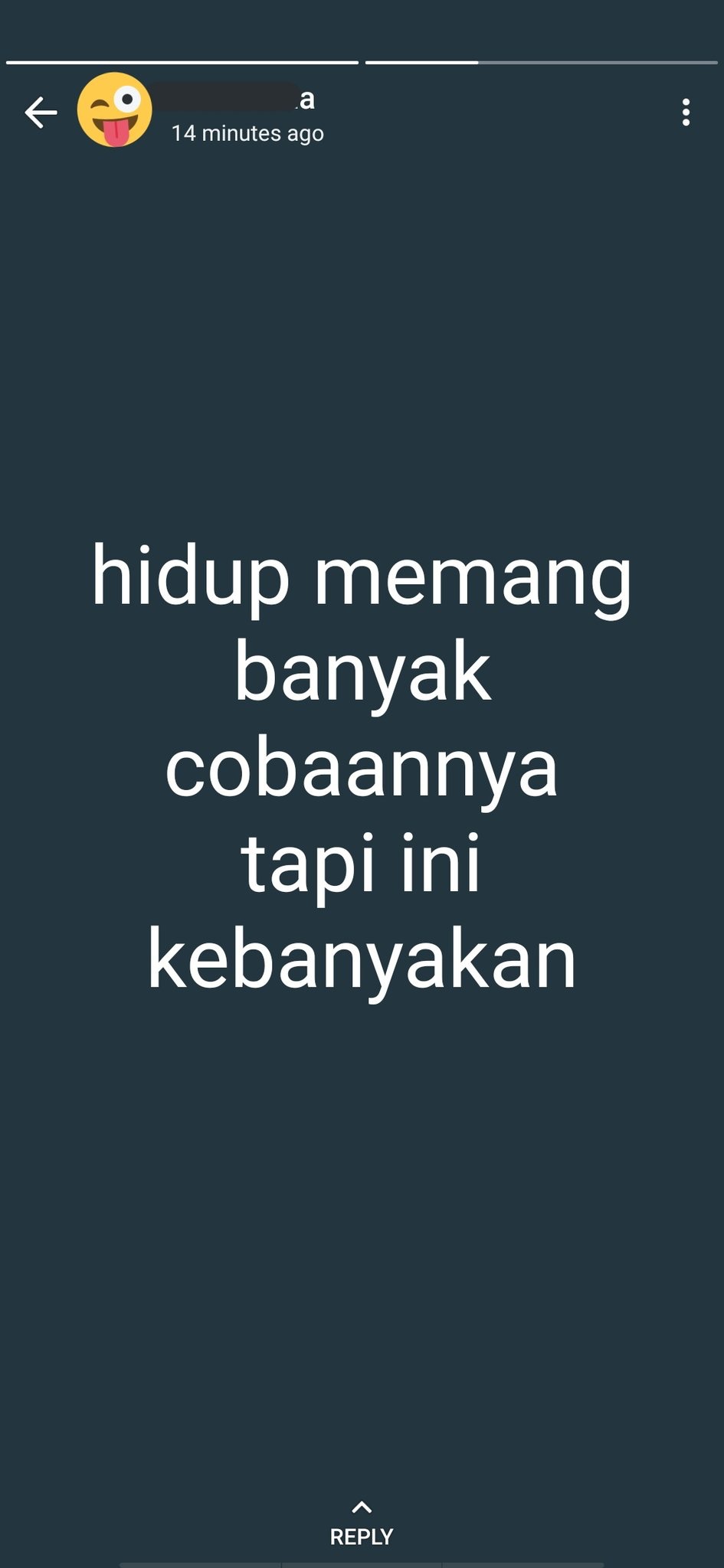 status lucu sok bijak di wa © berbagai sumber