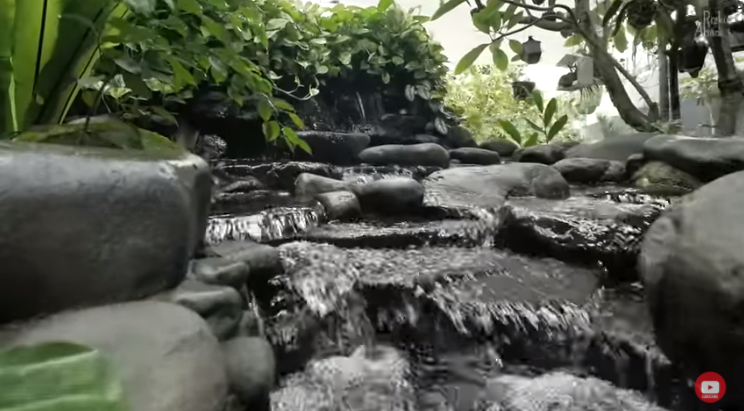 Rumah bertema tropis ini punya sungai dan kebun buah © 2023 brilio.net