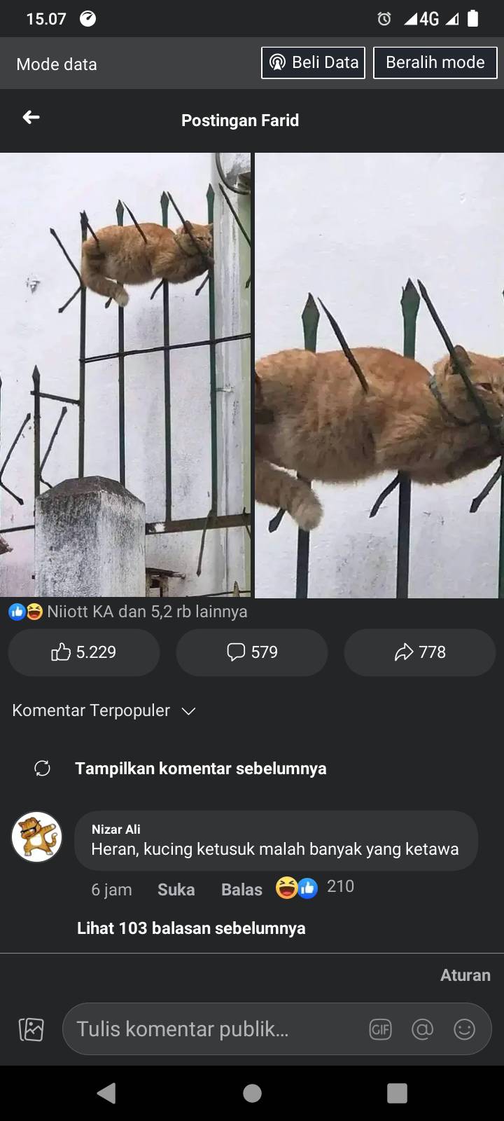 statu lucu tentang hewan di jalan © Berbagai sumber