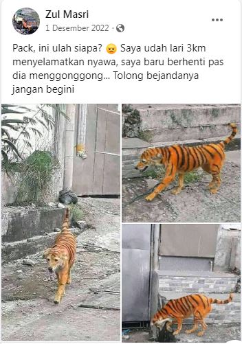 statu lucu tentang hewan di jalan © Berbagai sumber