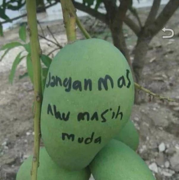 tulisan peringatan agar barang tak dicuri Berbagai sumber