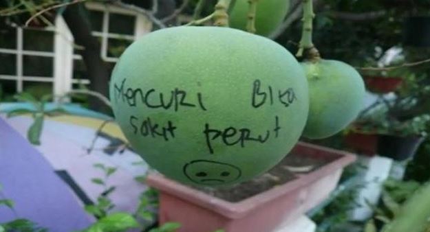 tulisan peringatan agar barang tak dicuri Berbagai sumber