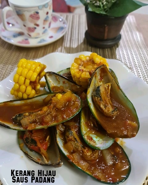 12 Resep kerang hijau saus padang, nikmat dan mudah ditiru