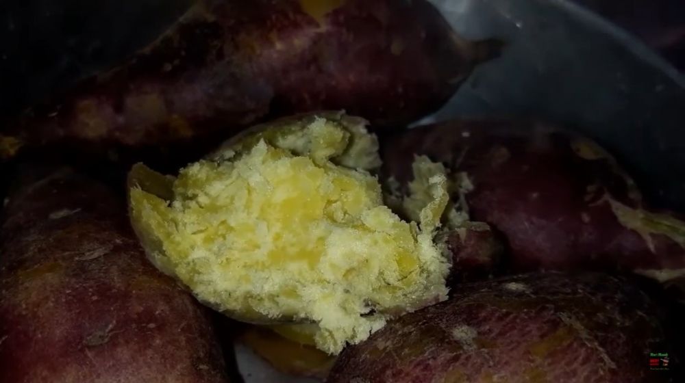 Trik mengukus ubi jalar agar tak terlalu lembek ini bikin hemat gas dan listrik