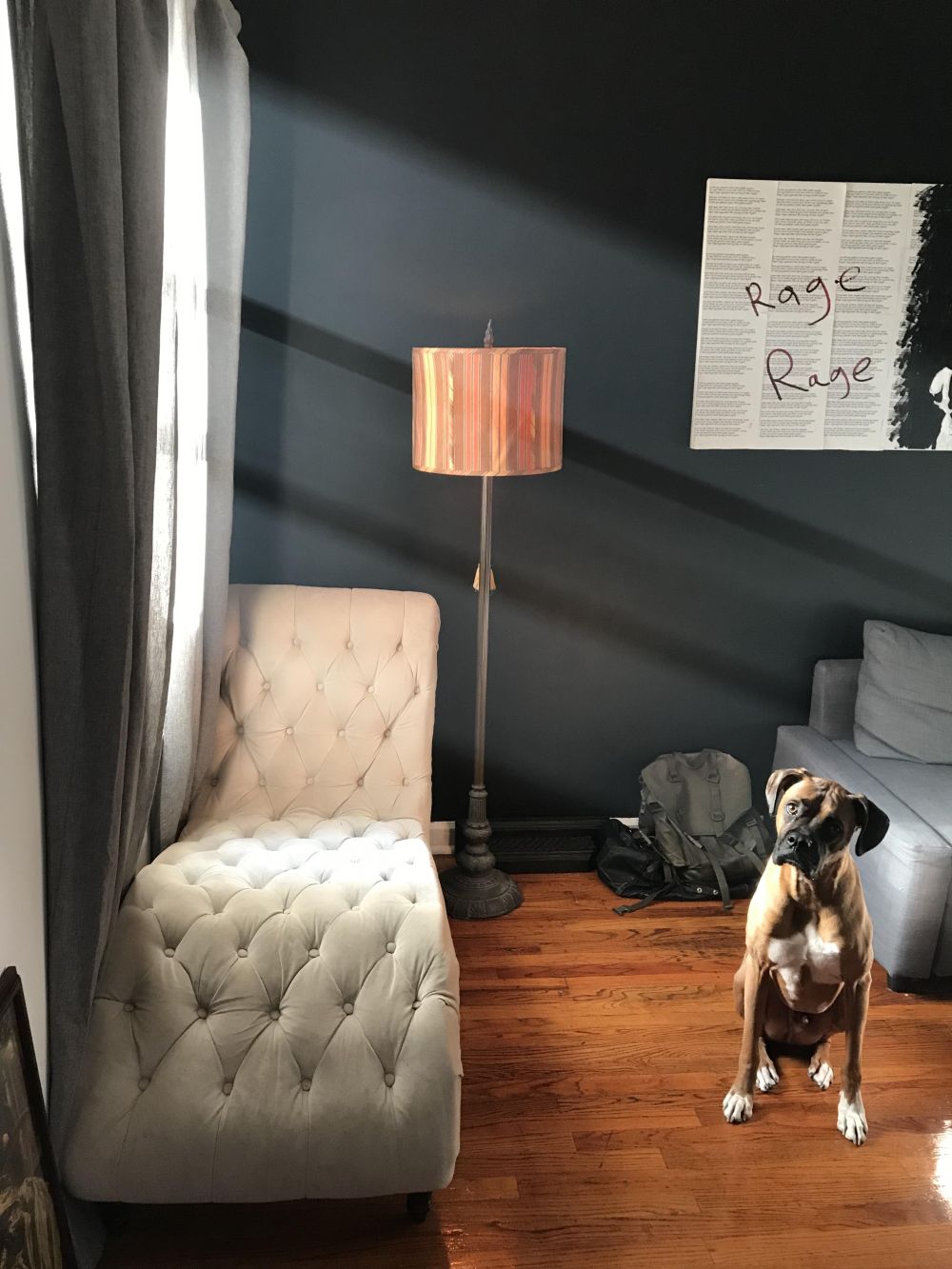 benda tanpa bayangan © Boredpanda