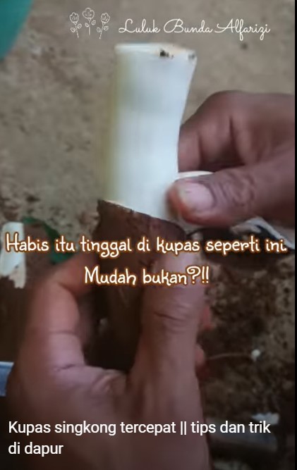 Bukan dibelah lurus, begini trik mengupas singkong dengan lebih cepat dan mudah