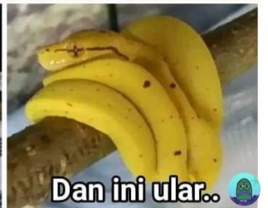 15 Potret ini bakal uji kefokusan kamu dalam berpuasa © berbagai sumber