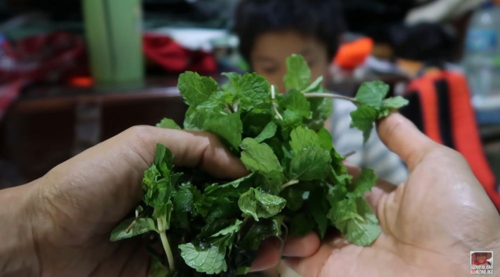 Cara menyimpan daun mint agar tetap hijau dan tak layu hingga 1 minggu