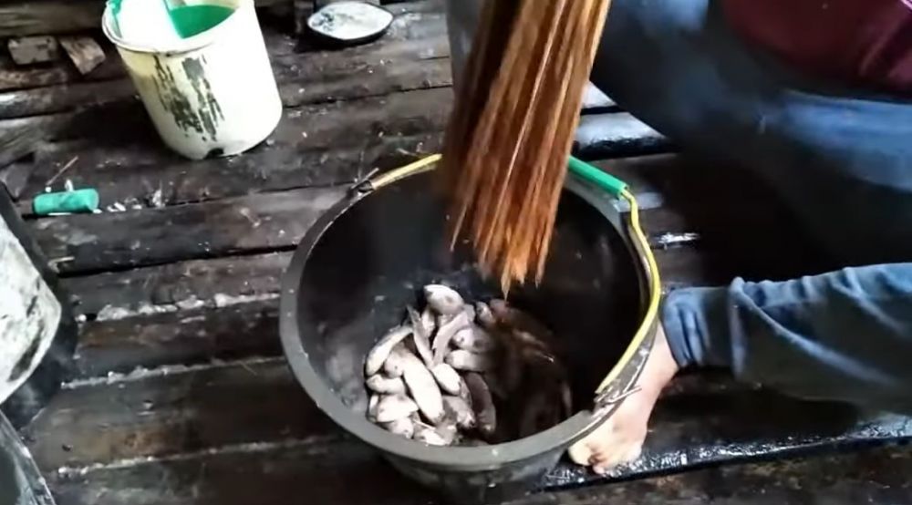 Tanpa pisau, ini cara cepat membersihkan sisik ikan dalam jumlah banyak hanya 2 menit