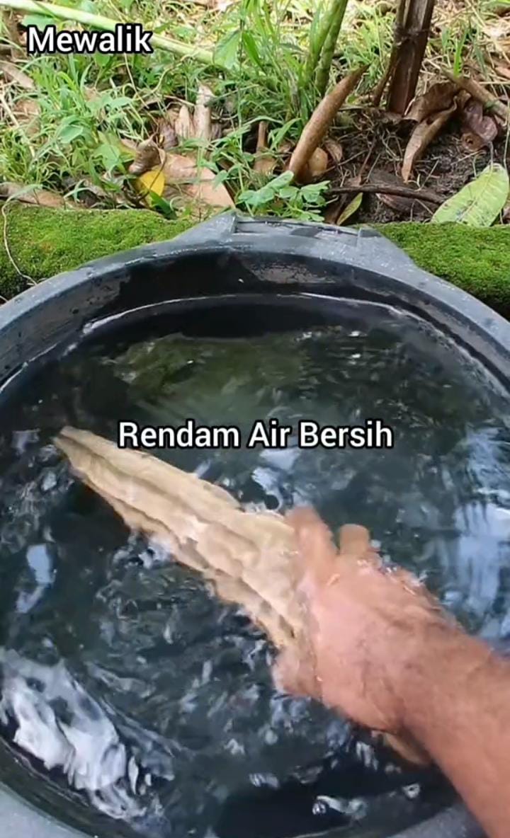 Cuma pakai satu jenis sayuran, ini cara membuat spons cuci piring alami yang kuat dan ramah lingkungan