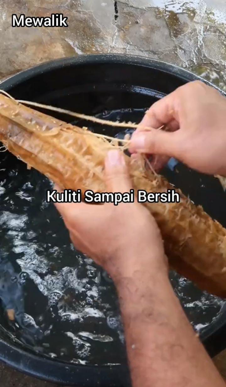 Cuma pakai satu jenis sayuran, ini cara membuat spons cuci piring alami yang kuat dan ramah lingkungan