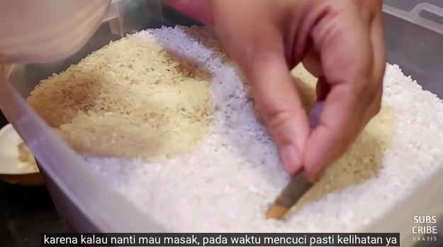 Trik praktis mengusir kutu beras di box, cuma pakai 1 rempah dapur