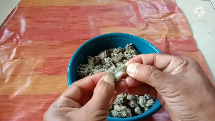 Tak perlu presto, ini trik sederhana mengempukkan babat sapi pakai satu bahan dapur