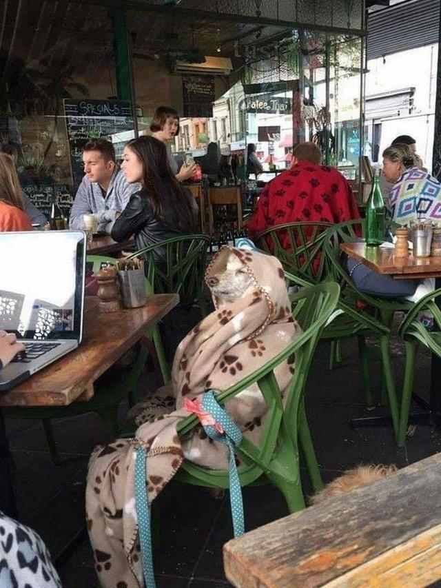 11 potret keliru ngira orang ini bikin kamu malu 7 turunan © berbagai sumber 11 potret keliru ngira orang ini bikin kamu malu 7 turunan © berbagai sumber