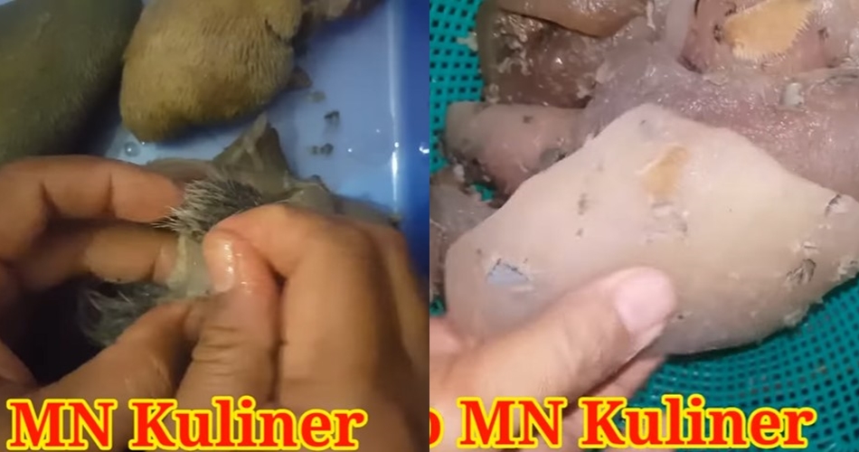 Tak perlu dikerok atau dibakar, ini cara mudah membersihkan bulu pada kikil sapi