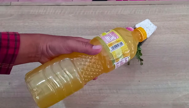 Cuma pakai satu bahan dapur, ini trik praktis menjernihkan minyak goreng yang mengendap